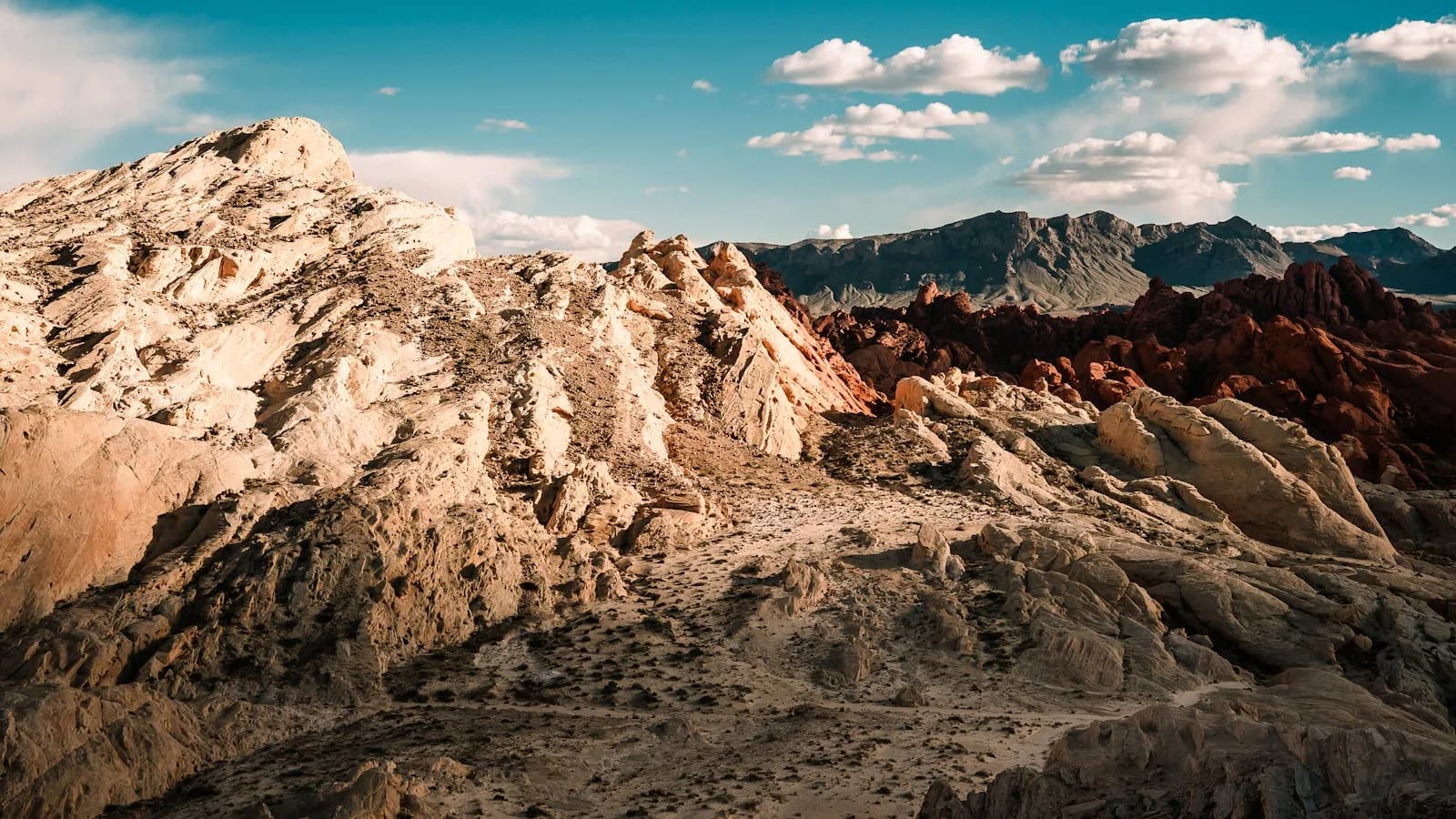 Desert Bloom Roofing serving North Las Vegas