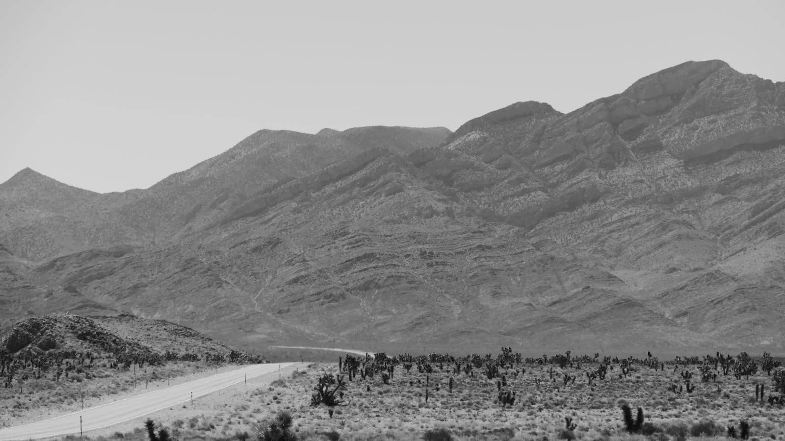 Professional roofing in North Las Vegas, Nevada