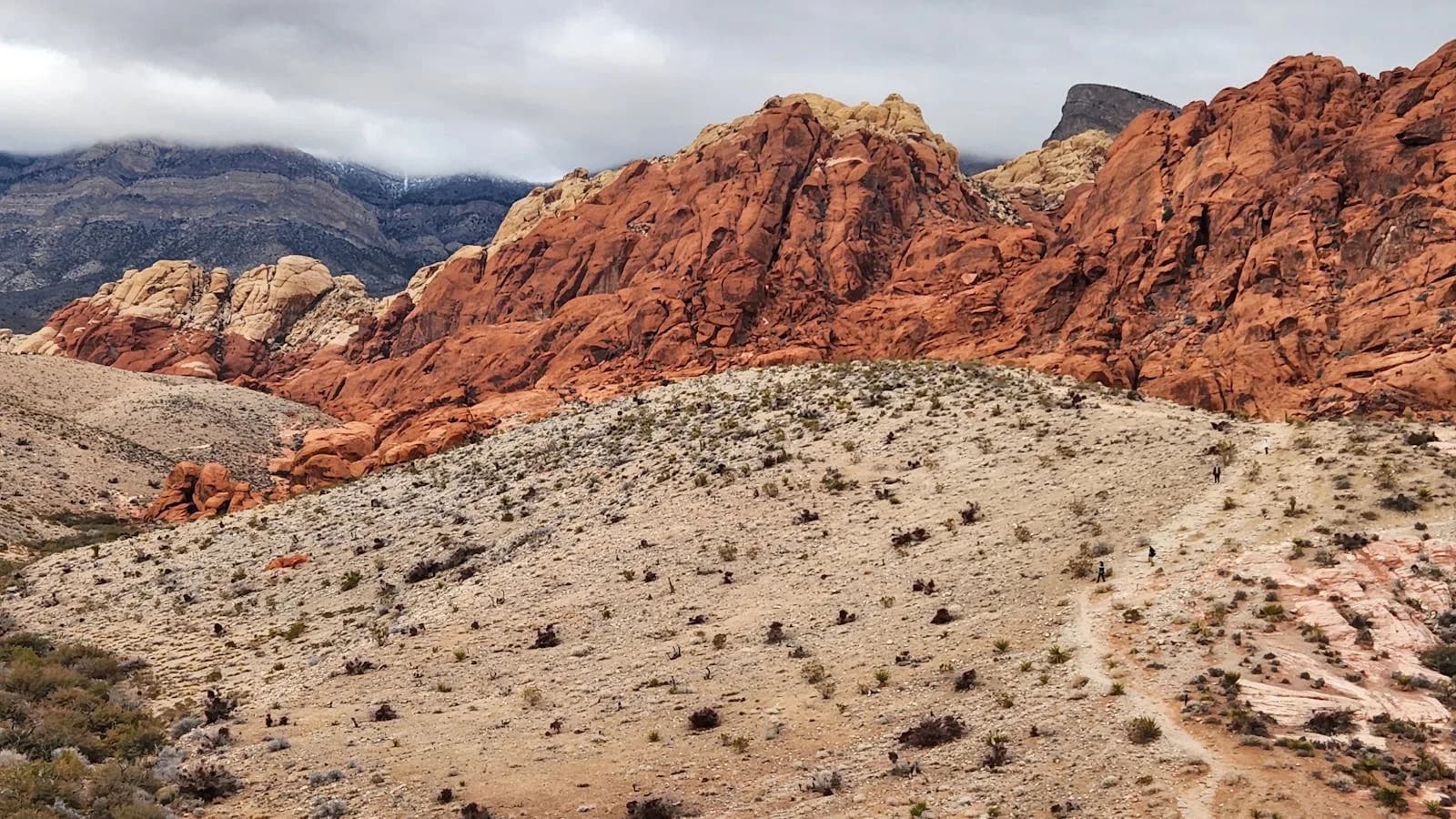 Desert Bloom Roofing serving Summerlin