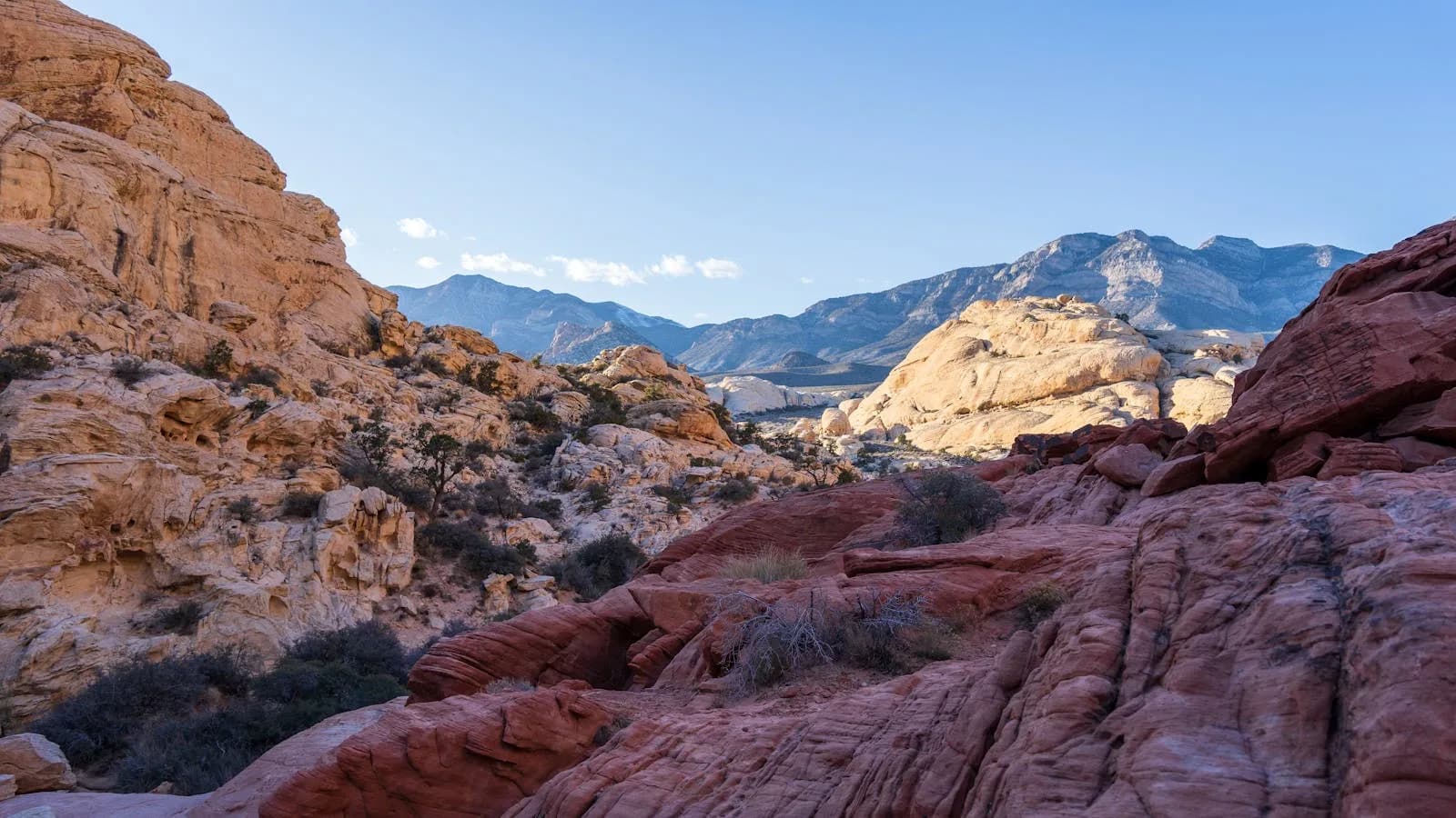 Professional roofing in Summerlin, Nevada