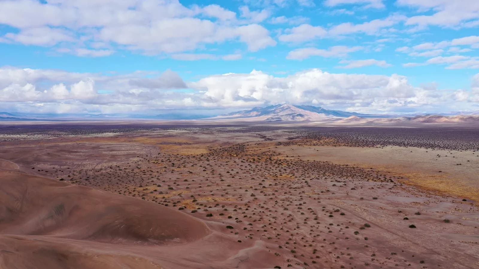 Desert Bloom Roofing serving Pahrump